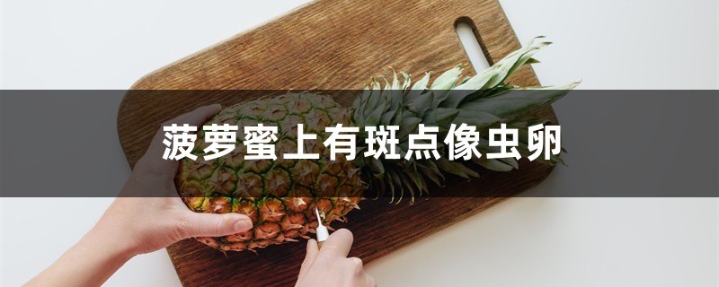 菠萝蜜上有斑点像虫卵怎么回事