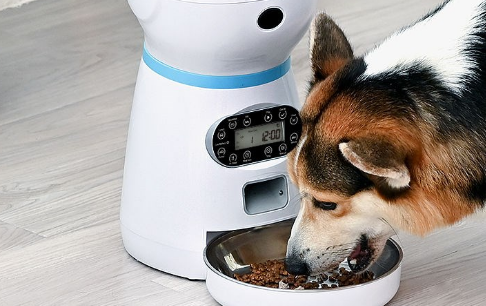 Ebo一宝宠物机器人：给宠物和家庭的智能陪伴