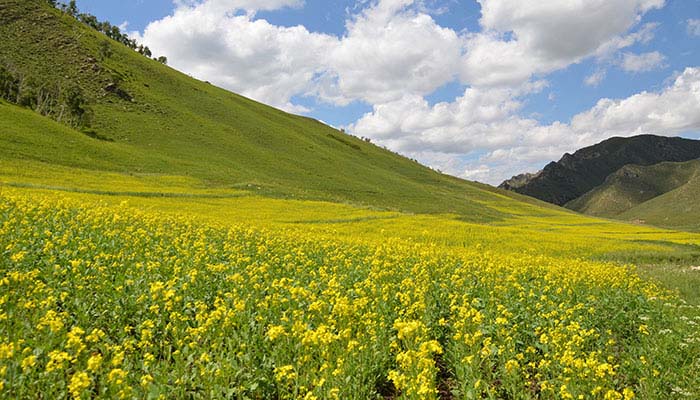 黄花沟地质公园好玩吗 黄花沟地质公园简介