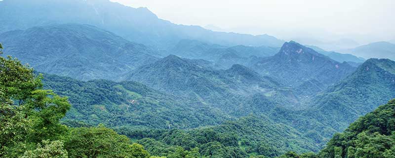 青城山旅游攻略 青城山一日游路线