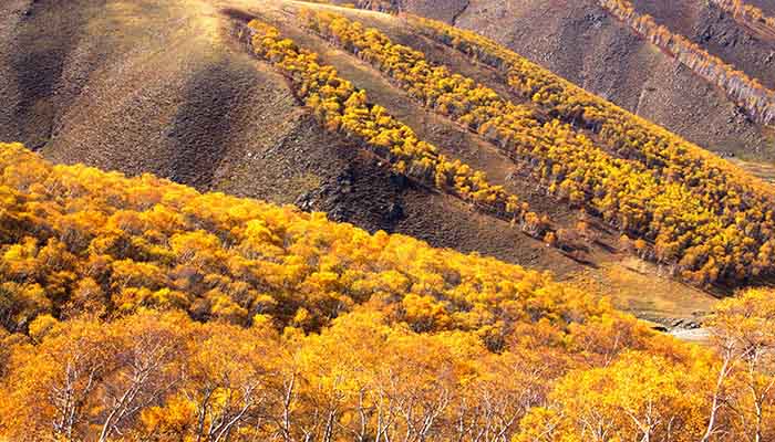 黄花沟地质公园好玩吗 黄花沟地质公园简介