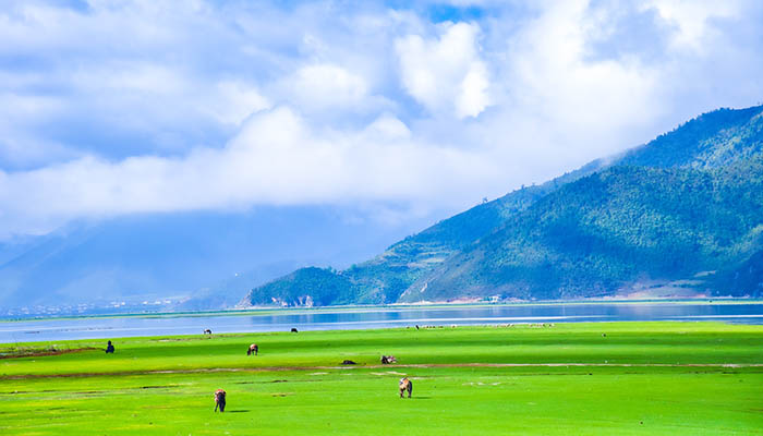 香格里拉最佳旅行时间 香格里拉适合什么时候去