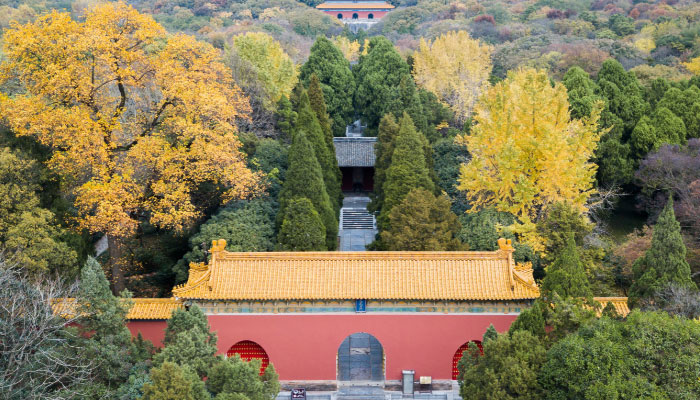 南京旅游攻略景点必去 南京旅游必去的景点有哪些