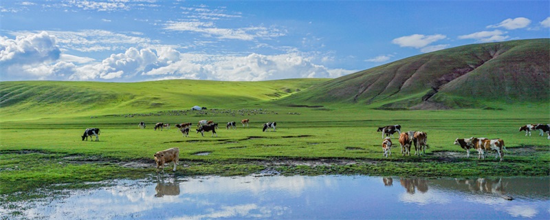 呼伦贝尔旅游景点攻略 呼伦贝尔什么时候去旅游最好