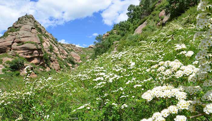 黄花沟旅游景区在哪里 黄花沟在哪里