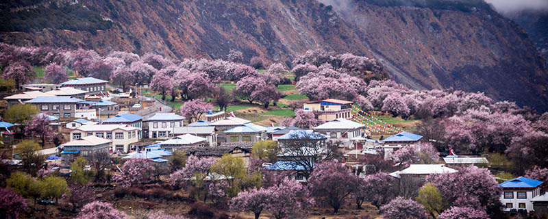 墨脱旅游攻略 什么时候去墨脱最好