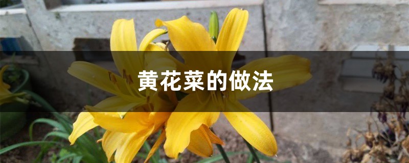 黄花菜的做法，怎么做好吃