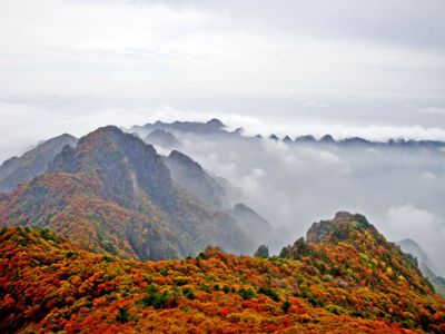 历山国家自然保护区