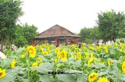 赤峰植物园