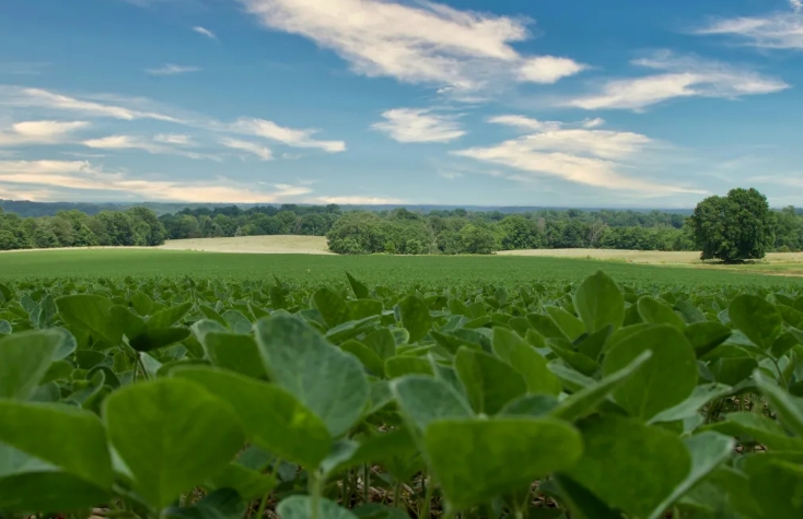 嘉吉与雀巢普瑞纳合作采用再生农业技术减少普瑞纳宠物干粮产品的碳足迹