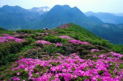 左权庙田风景区