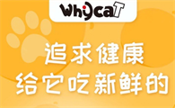 一文详解：whycat猫粮好不好？