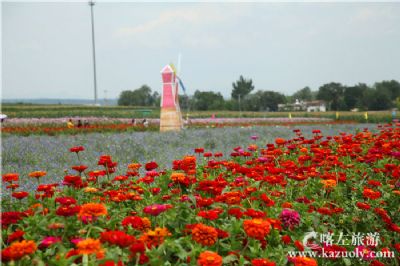 水泉润泽花海