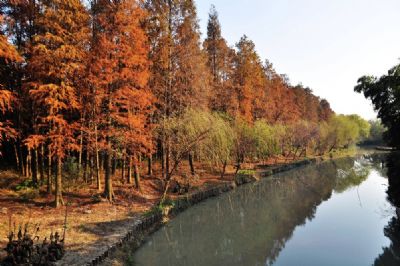 同里湿地公园