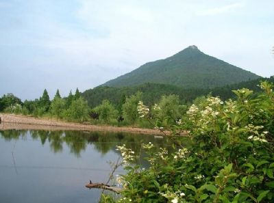 湖山森林公园