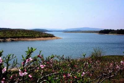 跃龙湖景区