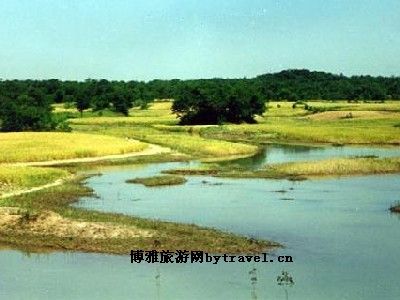 嶂山森林公园