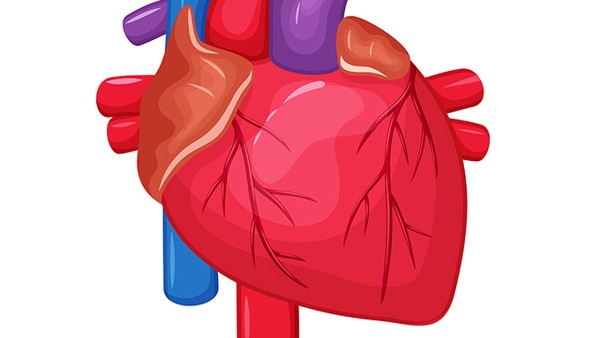打鼾与心脏缺血有关吗？