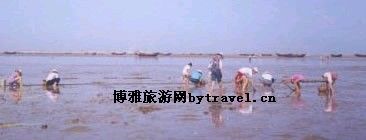 刘家湾赶海园