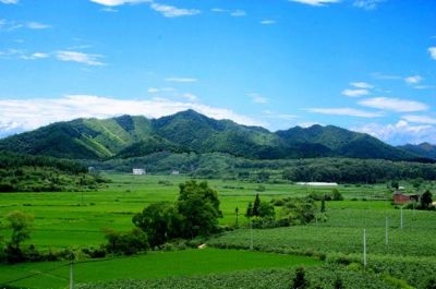 万家岭大捷遗址