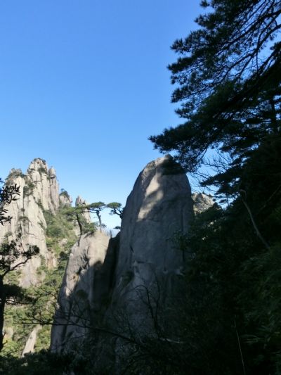 三清山雏鸡岀壳