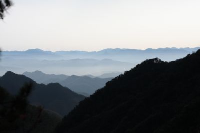 阳际峰自然保护区