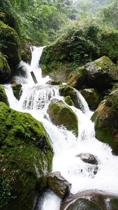 青城山三潭雾泉