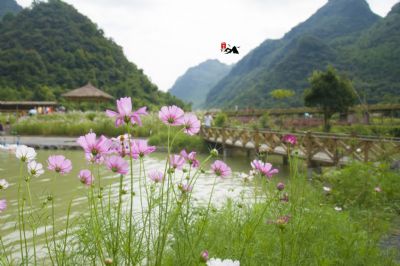 荔波四季花海