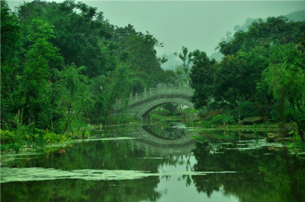 泸州张坝桂圆林