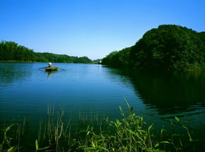 赤水竹海国家森林公园