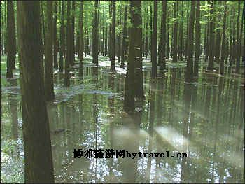 神龙架景区