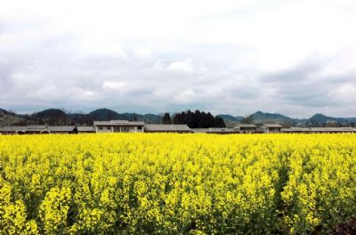 “金海雪山·四季花谷”景区