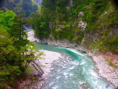 维西戈登遗址景区