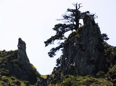 金阳狮子山