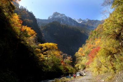 雪宝顶自然保护区