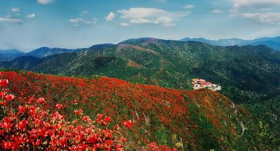 阳明山