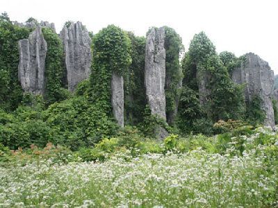 洛塔地质公园