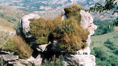 禹州龙虎山风景区