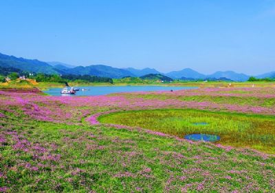 新化龙湾国家湿地公园