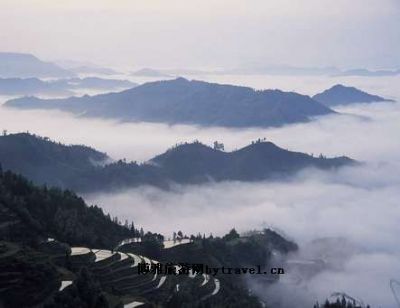 黄桑林海石峰