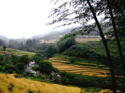 西边山桃寮村