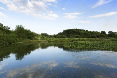 湖南萱洲国家湿地公园