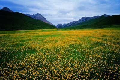 西麦朵合塘景区