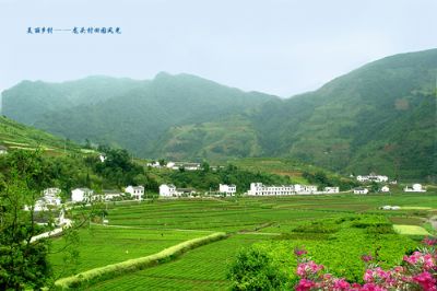 平利县龙头旅游村