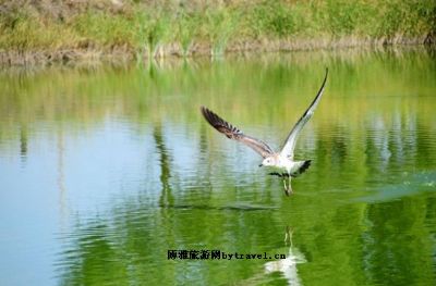 黑河流域自然保护区