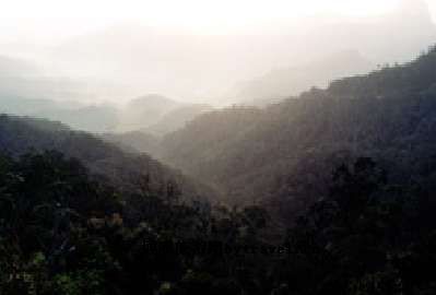 斧头山自然保护区