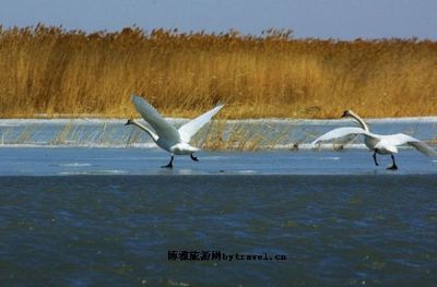 乌伦古湖海滨景区