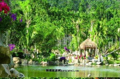 五指山热带雨林风景区