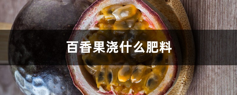 百香果浇什么肥料，怎么给百香果施肥