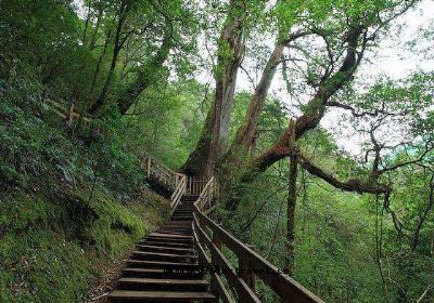 达观山自然保护区